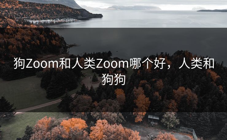 狗Zoom和人类Zoom哪个好，人类和狗狗