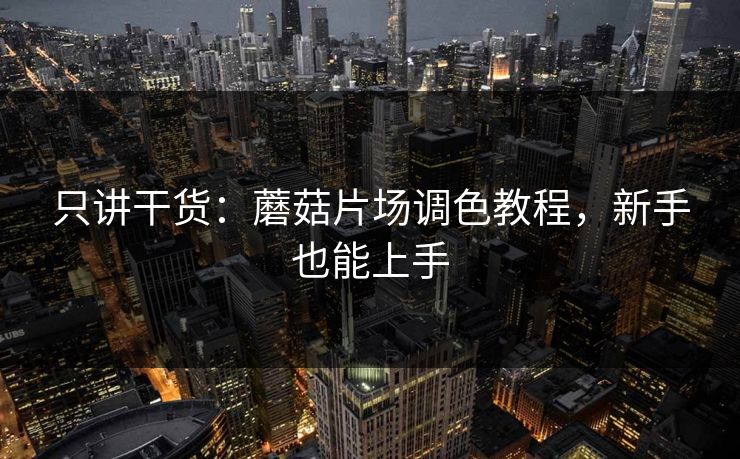 只讲干货：蘑菇片场调色教程，新手也能上手